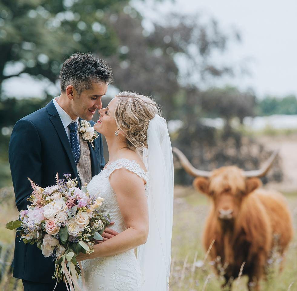 A bride and groom stand closely, smiling at each other. The bride holds a bouquet of flowers. In the background, a Highland cow gazes in their direction. Captured by a Norwood Park wedding photographer, the enchanting outdoor setting is adorned with trees and grass.