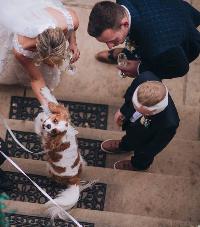 Norwood Park Wedding photographer052